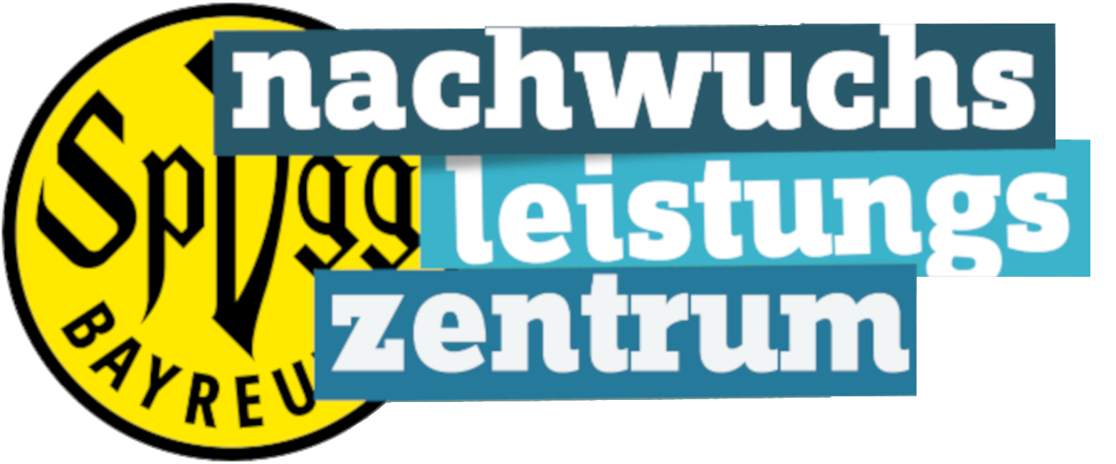 NLZ Logo